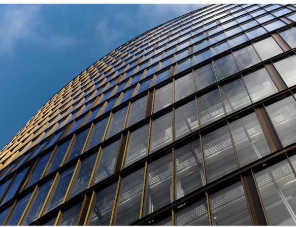 What are curtain wall advantages and disadvantages?