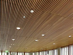 Sales Representative of First Grade Ceiling Louver